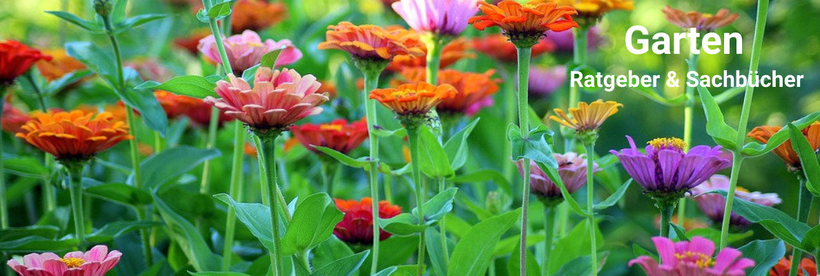 Garten Sachbücher und Ratgeber Garten Sachbücher und Ratgeber
