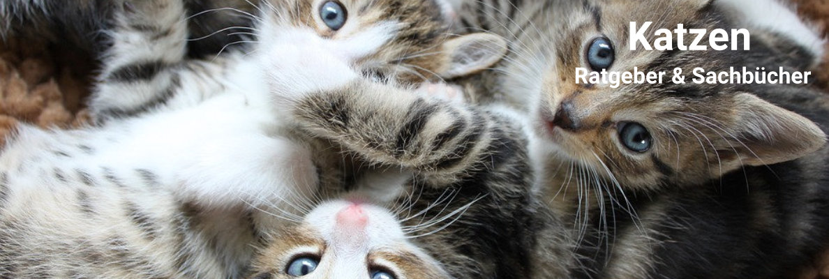 Katzen Sachbücher und Ratgeber