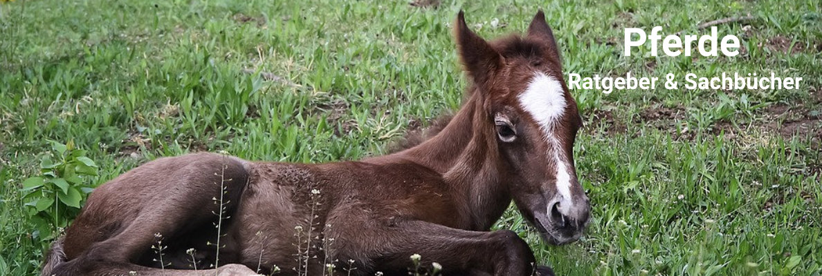 Pferde Sachbücher und Ratgeber Pferde Sachbücher und Ratgeber